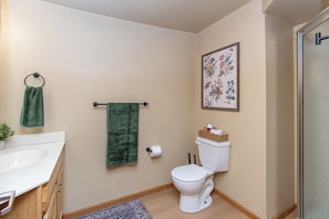 Shower, hair dryer, towels, soap
