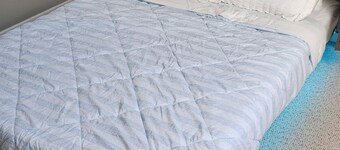 Quiet & Private Greek-Inspired Coach House in Ladner