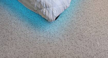 Quiet & Private Greek-Inspired Coach House in Ladner