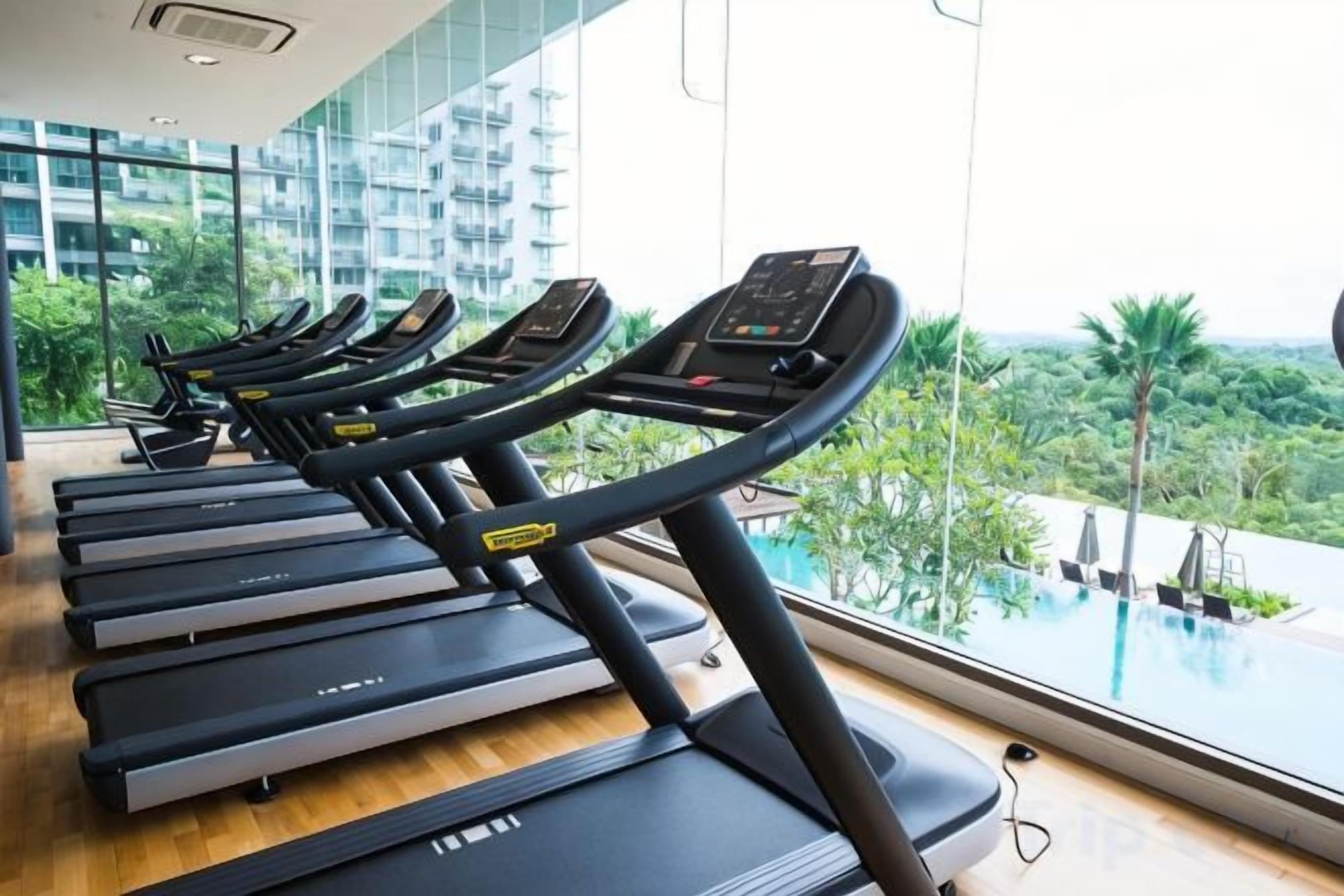 A row of treadmills in a gym with a view of a swimming pool and palm trees.