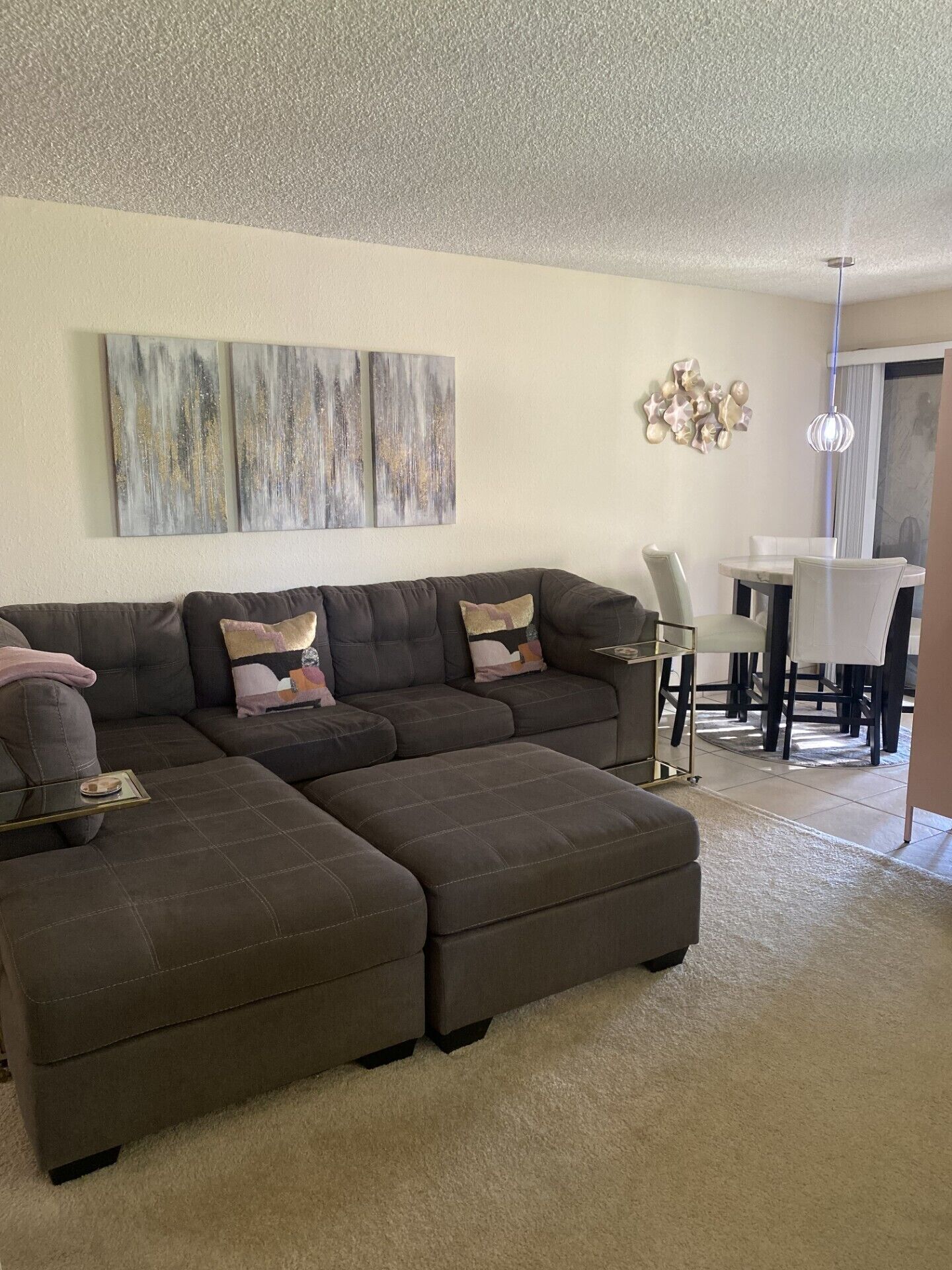 منطقة المعيشة