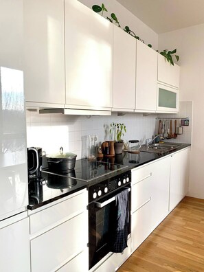 Fridge, oven, stovetop, dishwasher