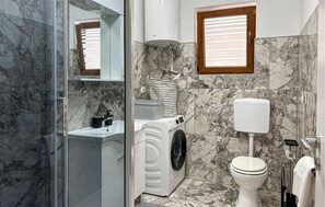 Shower, hair dryer