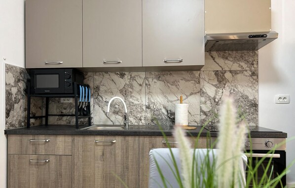 Fridge, oven, stovetop, dishwasher