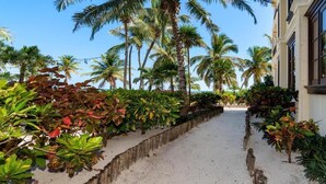 A pathway lined with tropical plants and palm trees, leading to a building with a white facade and large windows. - La Beliza Resort (San Pedro)