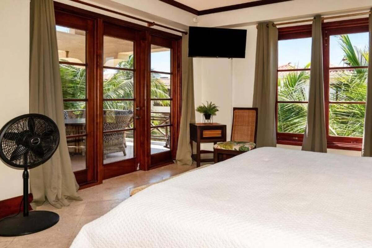 Habitación de hotel con una cama, televisor, ventilador, una mesita con una planta y vista a palmeras a través de la ventana.