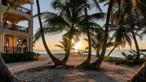 A beachfront hotel with palm trees, a balcony, and a sunset view. - La Beliza Resort (San Pedro)