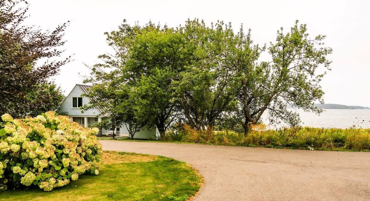 A house with a driveway leading to a body of water, surrounded by greenery and trees.