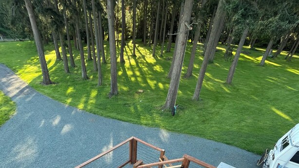 Eine Holztreppe führt zu einem Balkon mit Metallgeländer, umgeben von einer Rasenfläche und Bäumen.