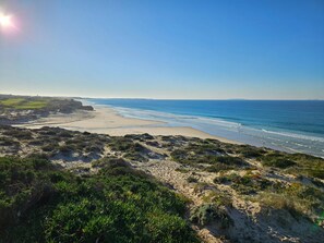 A coastal landscape with a sandy beach, grassy dunes, and a clear blue sky.