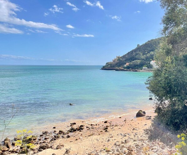 بالقرب من الشاطئ