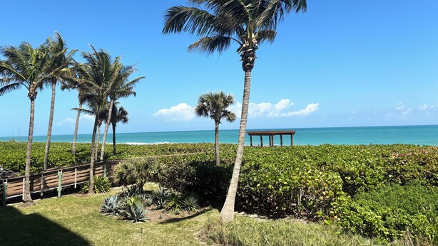 A beach with palm trees, a wooden deck, and a view of the ocean.