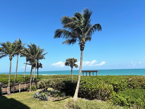 Terrain de lâhĂ©bergement