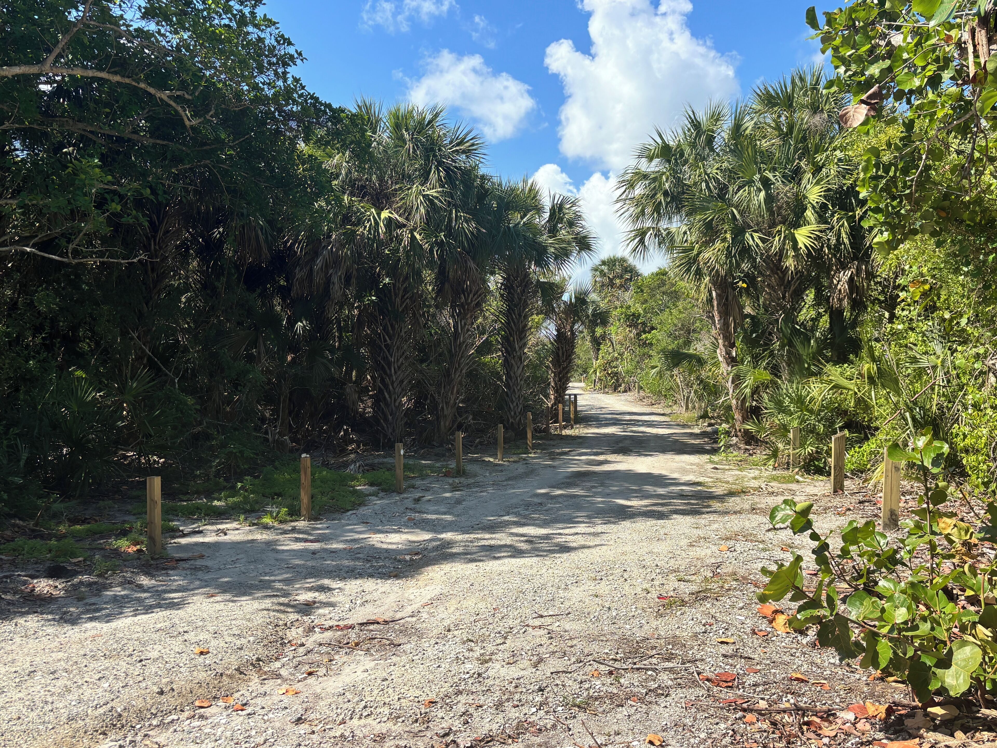 A gravel path flanked by dense foliage and trees, leading into a natural setting.