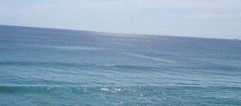 3-bedroom Oceanfront Palm Beach Condo with Pool & Steps to the Beach