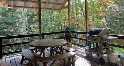 Puchers Place - Spacious, waterfront home on a private non-motorized lake