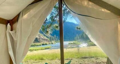 Elderberry tent & Lewis tent