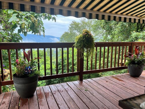The Mountain House on High Knob - Dog Friendly!