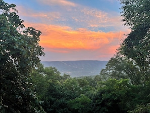 Miscellaneous - The Mountain House on High Knob - Dog Friendly! (Old Fields)