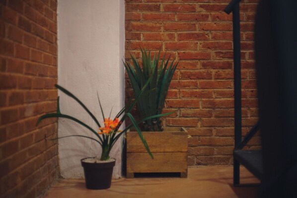 A corner with a brick wall, a potted plant with orange flowers, and a wooden planter.