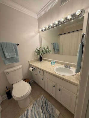 Hair dryer, towels, soap, toilet paper