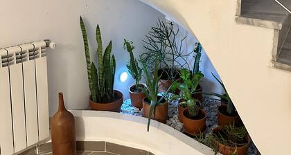 "MYRINA" T4 Duplex Cosy chic + balcony terrace •Tipaza- Near Algiers
