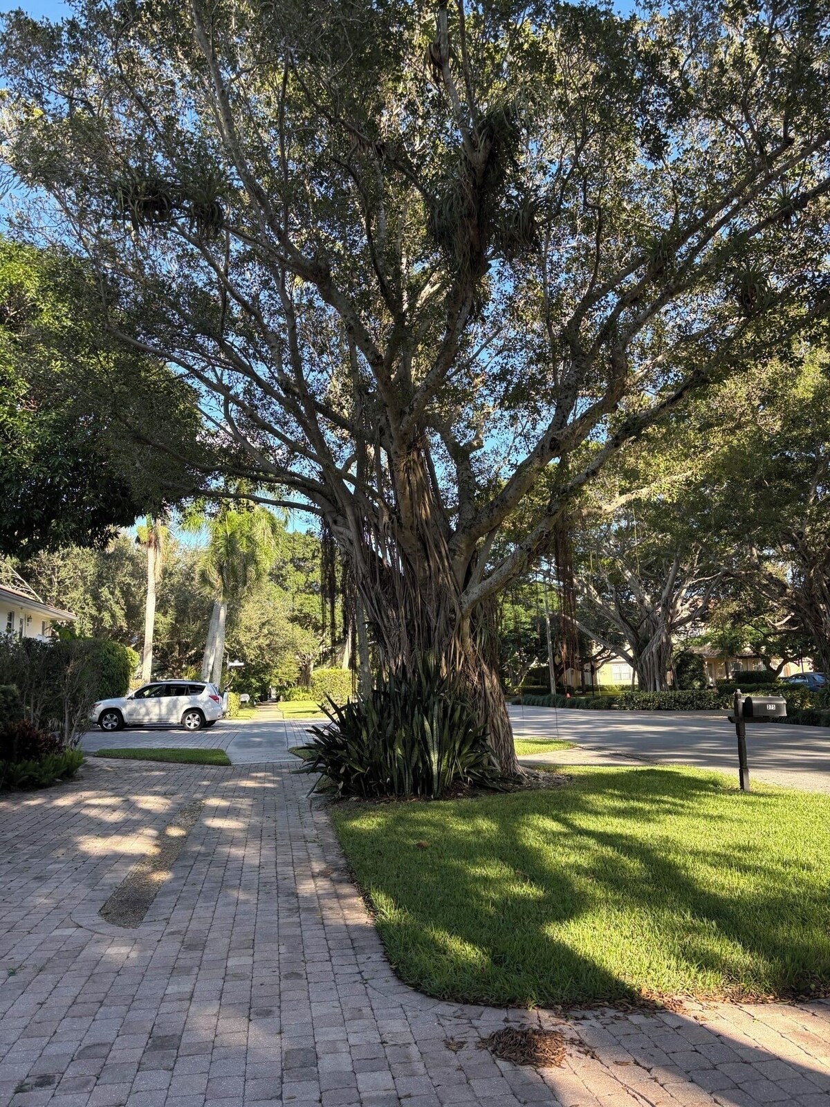 Photo 20 of Perfect Old Naples location!