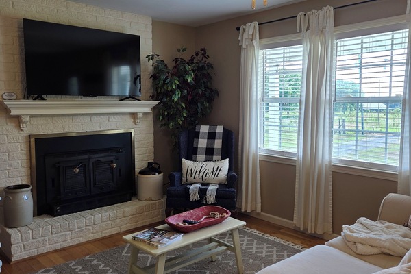 Smart TV, fireplace, books