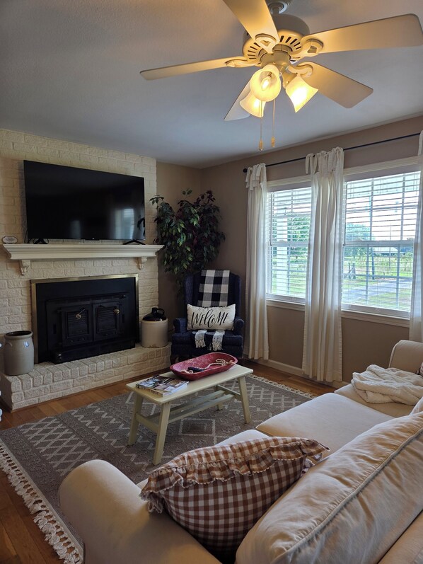 Smart TV, fireplace, books