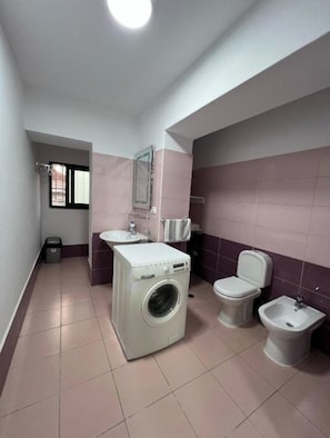 Shower, hair dryer, bidet, towels