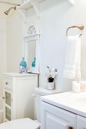 Hair dryer, towels, soap, toilet paper