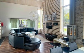 Fernseher, Kamin