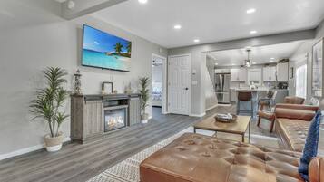 TV, offices, computer monitors, printers