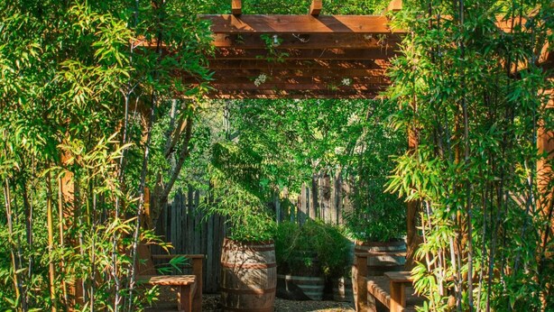 Jardines del alojamiento