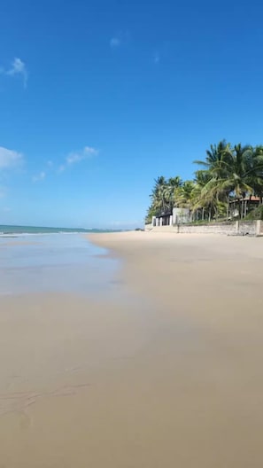 Camastros y toallas de playa 