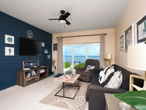 Televisio, kirjoja, tietokoneen näyttö