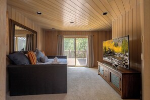 TV, fireplace, books