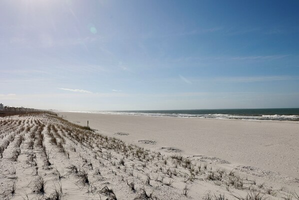 A beach with sand dunes and ocean waves.
