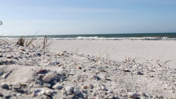 Une plage avec une étendue de sable au premier plan et l’océan en arrière-plan.