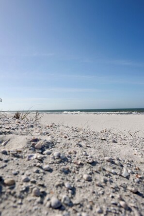 Een strand met een zandige voorgrond en de oceaan op de achtergrond.