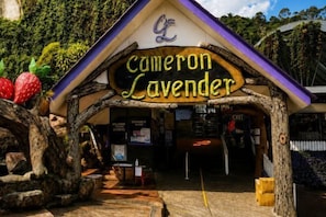 A rustic building with a sign reading 'Cameron Lavender.' - Nova Highlands Resort & Residence (B) (Ulu Telom)