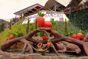 Room - Nova Highlands Resort & Residence (B) (Ulu Telom)