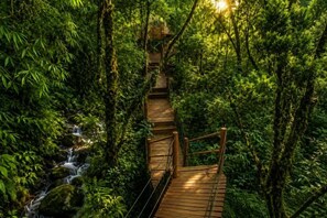Un puente de madera en un área boscosa con un arroyo.
