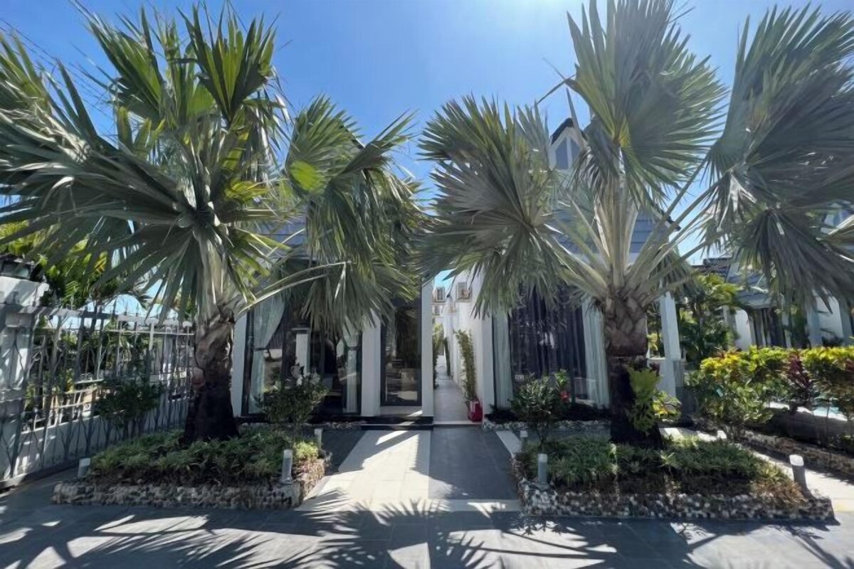 A pathway flanked by palm trees and a building with a white facade.