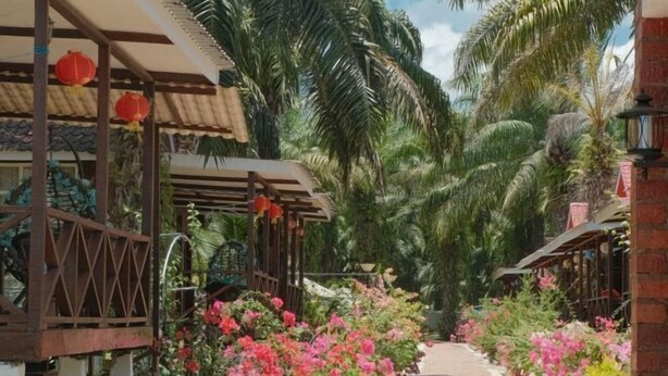 A pathway lined with vibrant flowers and palm trees, leading to wooden structures with red lanterns. - MANJU SEMPORNA RESORT (Semporna)