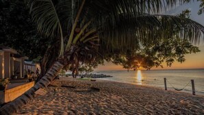 A beach with a palm tree, a wooden fence, and a sunset over the water. - Coral Reef Holidays (Tioman)