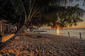 Una playa con una palmera, una valla de madera y una puesta de sol sobre el agua.