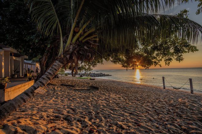 Ein Strand mit einer Palme, einem Holenzaun und einem Sonnenuntergang über dem Wasser.