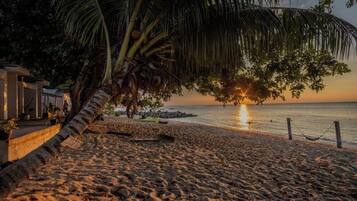 Ein Strand mit einer Palme, einem Holenzaun und einem Sonnenuntergang über dem Wasser.