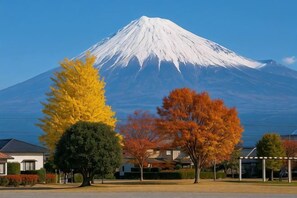 星評価なしの画像、5 / 28、ボタン